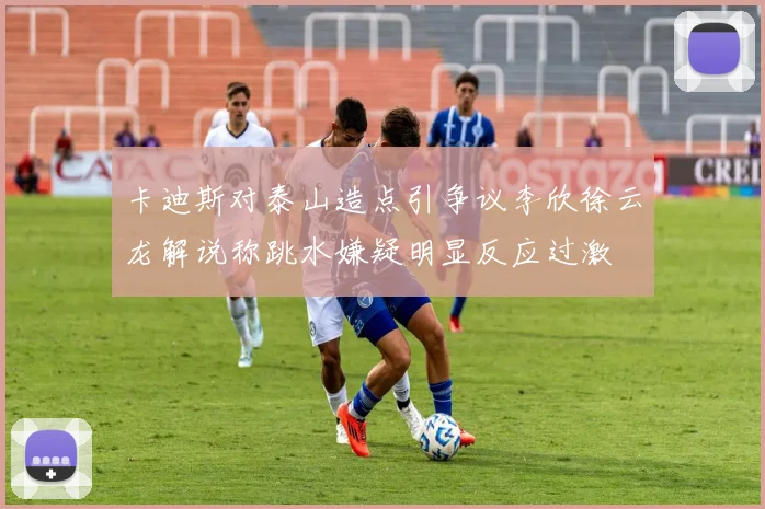 卡迪斯对泰山造点引争议李欣徐云龙解说称跳水嫌疑明显反应过激